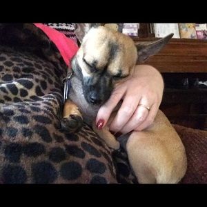 Meet your Posher, Tammy